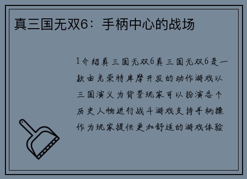 真三国无双6:手柄中心的战场