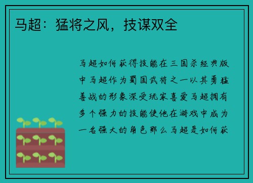 马超:猛将之风,技谋双全